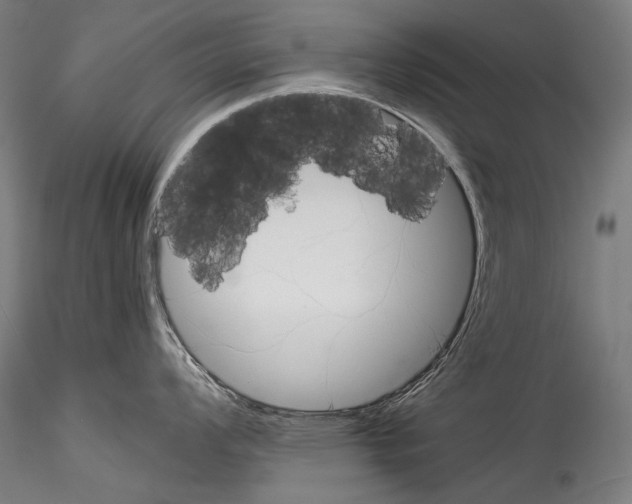 X0000114541008200911301157