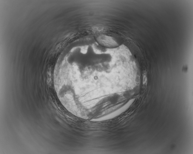 X0000114541011200911301156