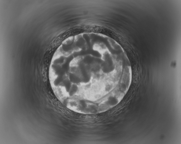 X0000114541013200911301156