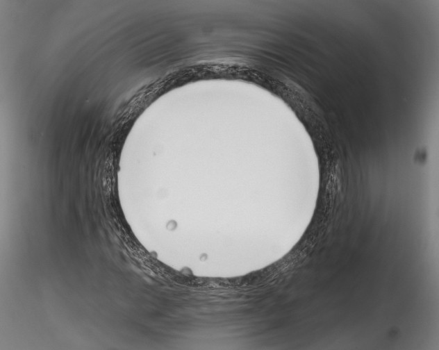 X0000114541014200911301156