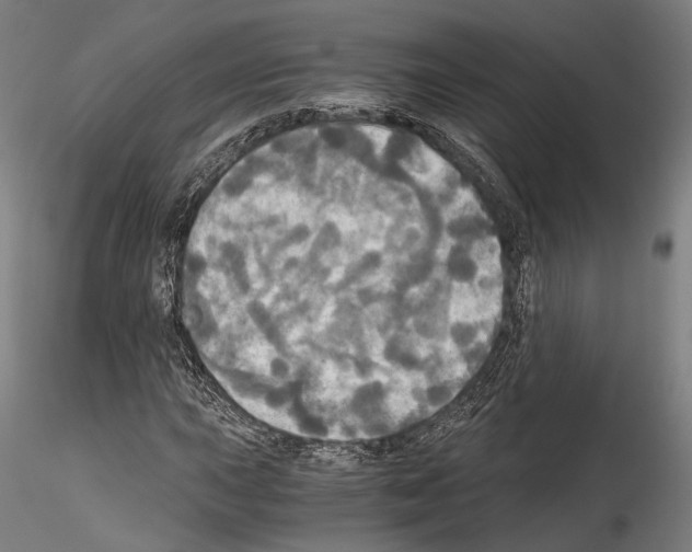 X0000114541015200911301156