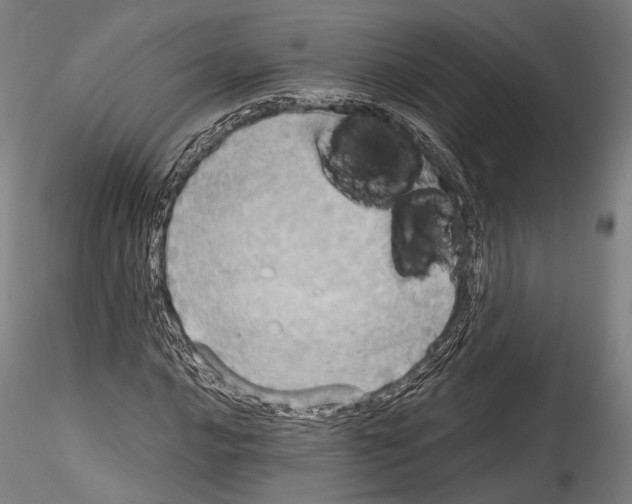 X0000114541016200911301156