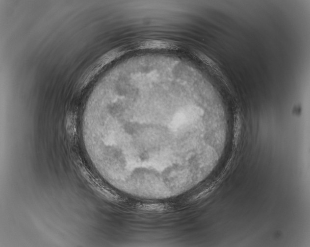 X0000114541017200911301156