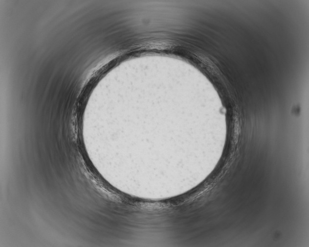 X0000114541018200911301156