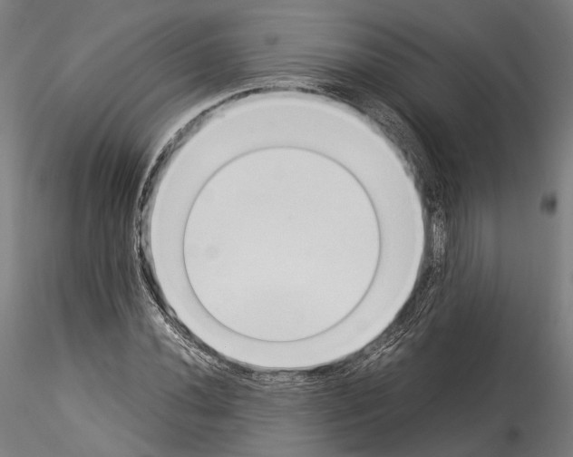 X0000114541020200911301157