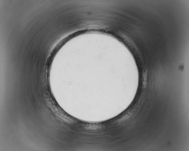 X0000114541021200911301157