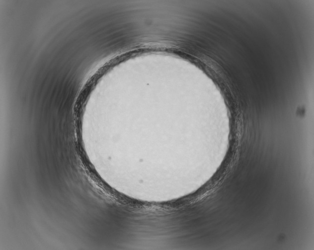 X0000114541022200911301157