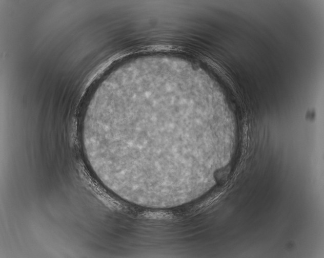 X0000114541023200911301157