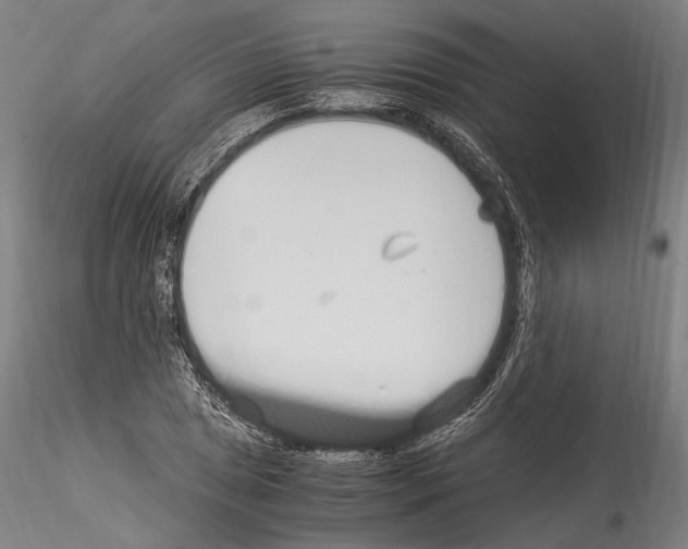 X0000114541025200911301157