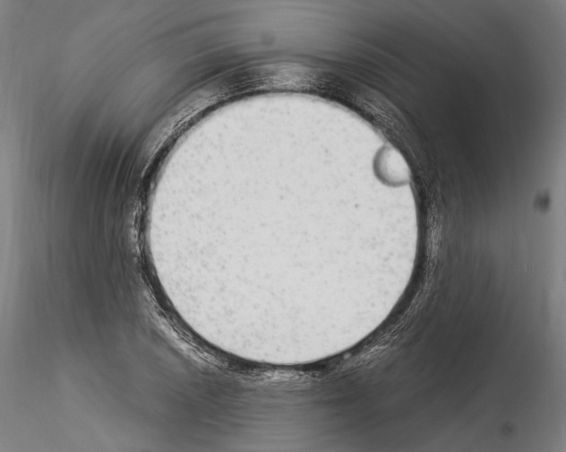 X0000114541026200911301157