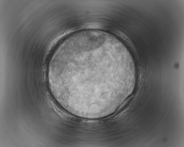 X0000114541027200911301157