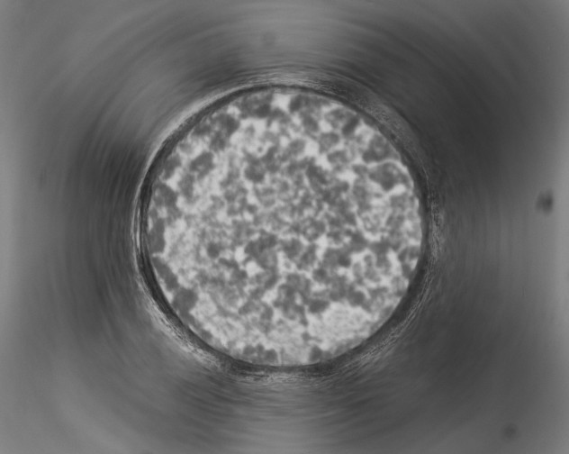 X0000114541028200911301157