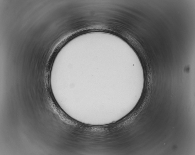 X0000114541029200911301157