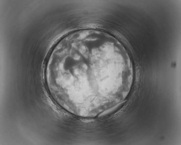 X0000114541031200911301157