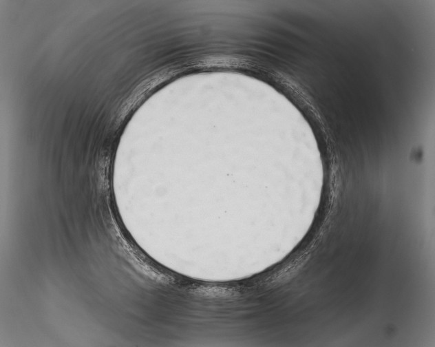 X0000114541033200911301157