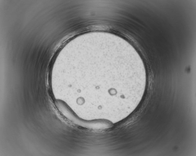 X0000114541034200911301157