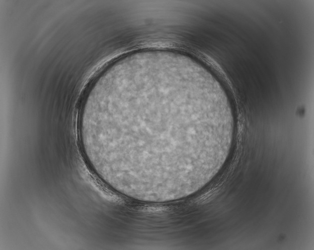 X0000114541035200911301157