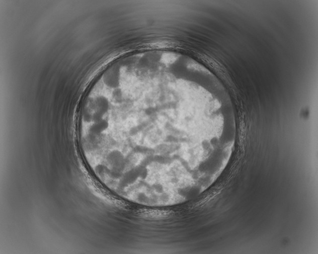 X0000114541039200911301157