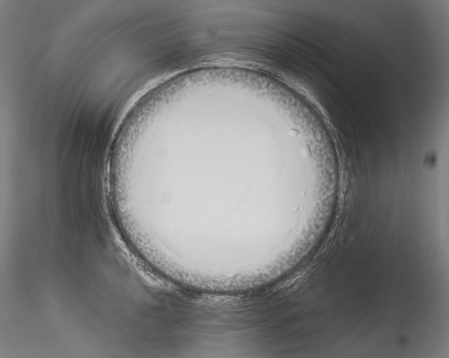 X0000114541040200911301157