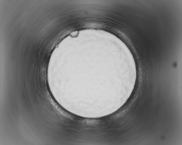 X0000114541041200911301157