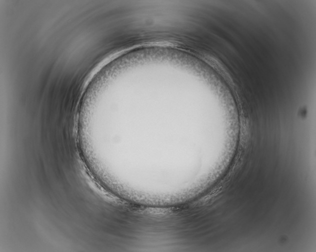 X0000114541044200911301157