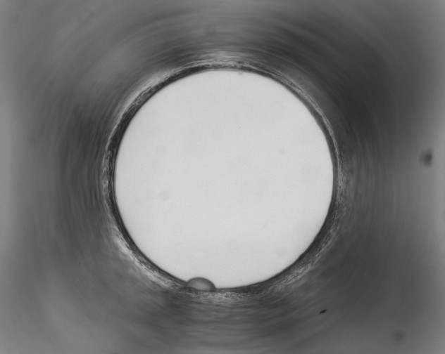 X0000114541045200911301157