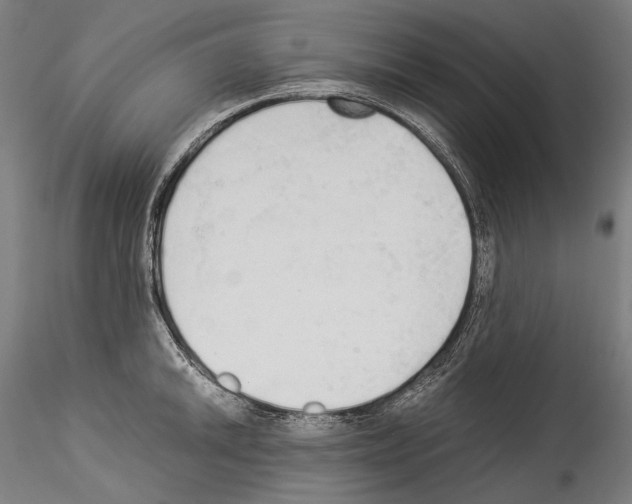 X0000114541046200911301157