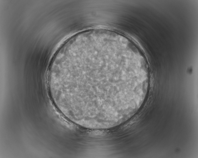 X0000114541048200911301157