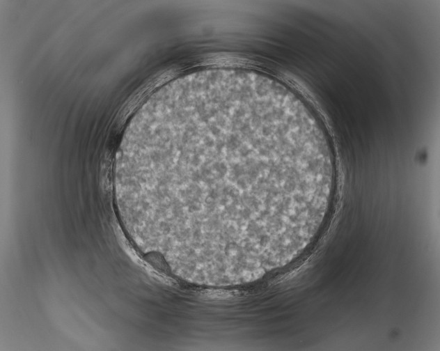 X0000114541049200911301157