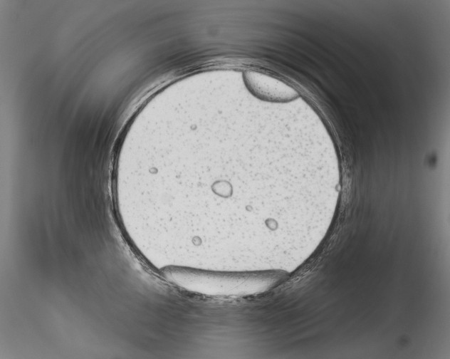 X0000114541050200911301157