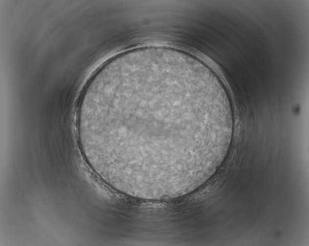 X0000114541051200911301157