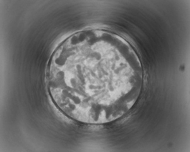 X0000114541055200911301157