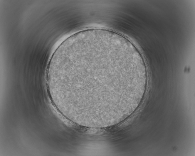 X0000114541056200911301157