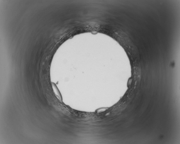 X0000114541057200911301156