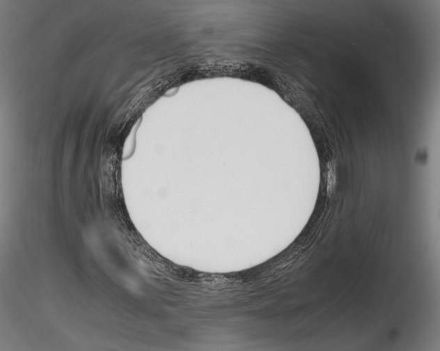 X0000114541059200911301156