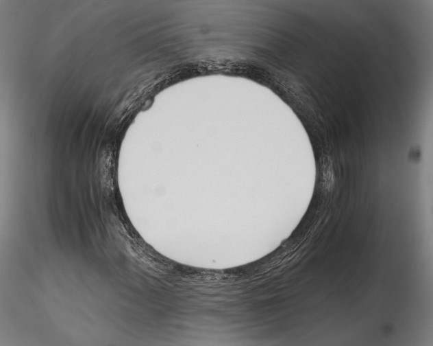 X0000114541060200911301156