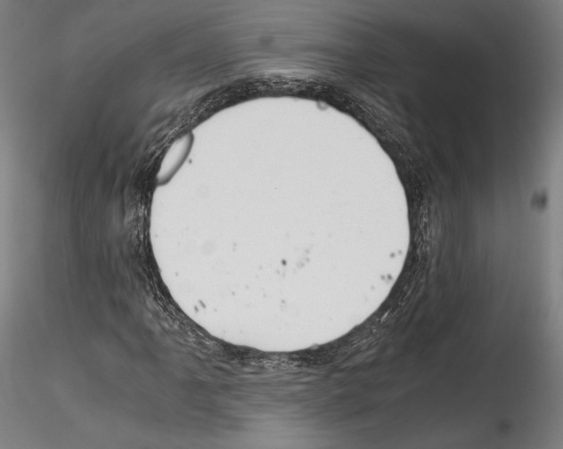 X0000114541061200911301156