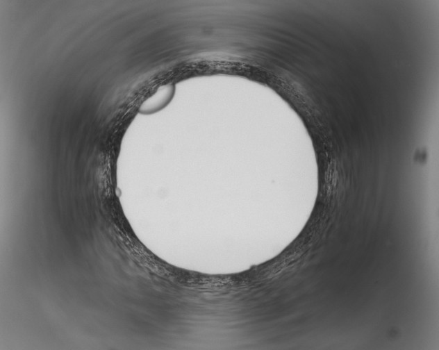 X0000114541062200911301156