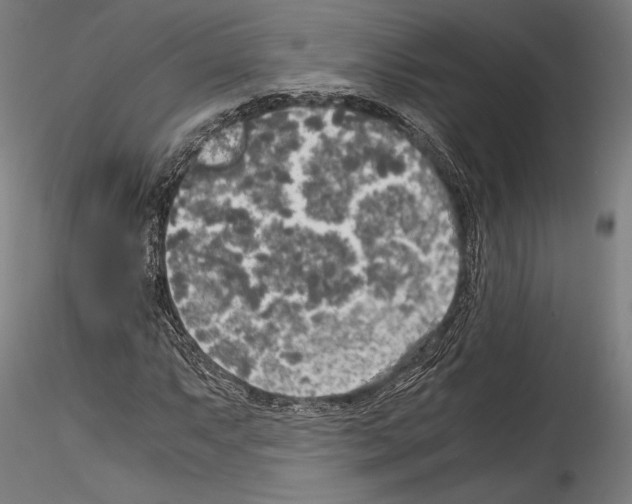 X0000114541063200911301156