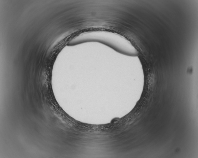 X0000114541064200911301156