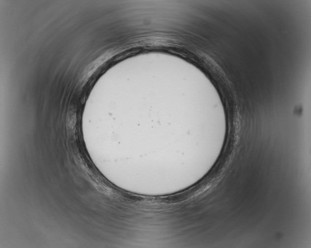 X0000114541065200911301156