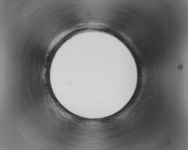 X0000114541066200911301156