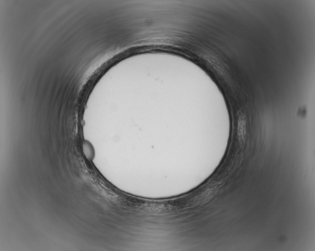 X0000114541069200911301156