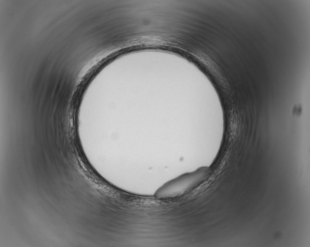 X0000114541070200911301156