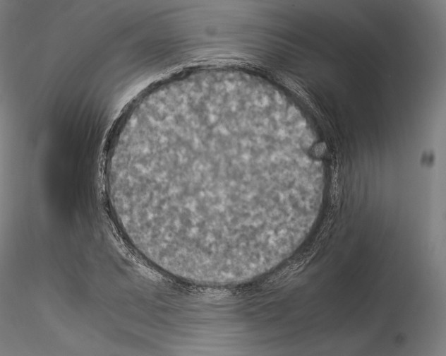 X0000114541071200911301156