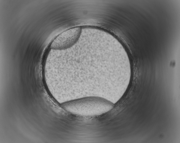 X0000114541072200911301156