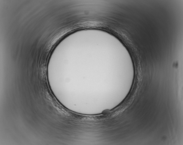 X0000114541073200911301156