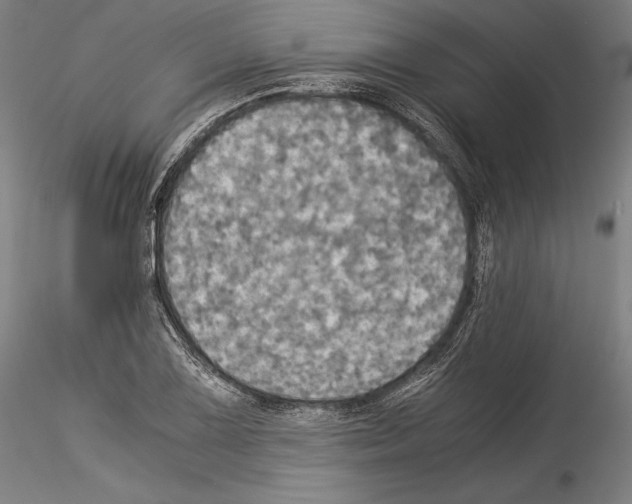 X0000114541075200911301156