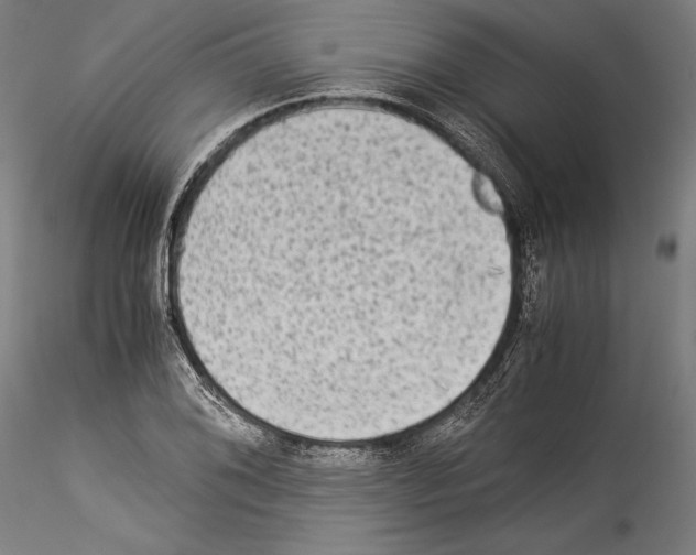 X0000114541076200911301156