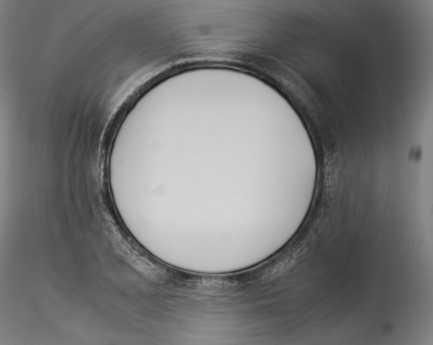 X0000114541077200911301156